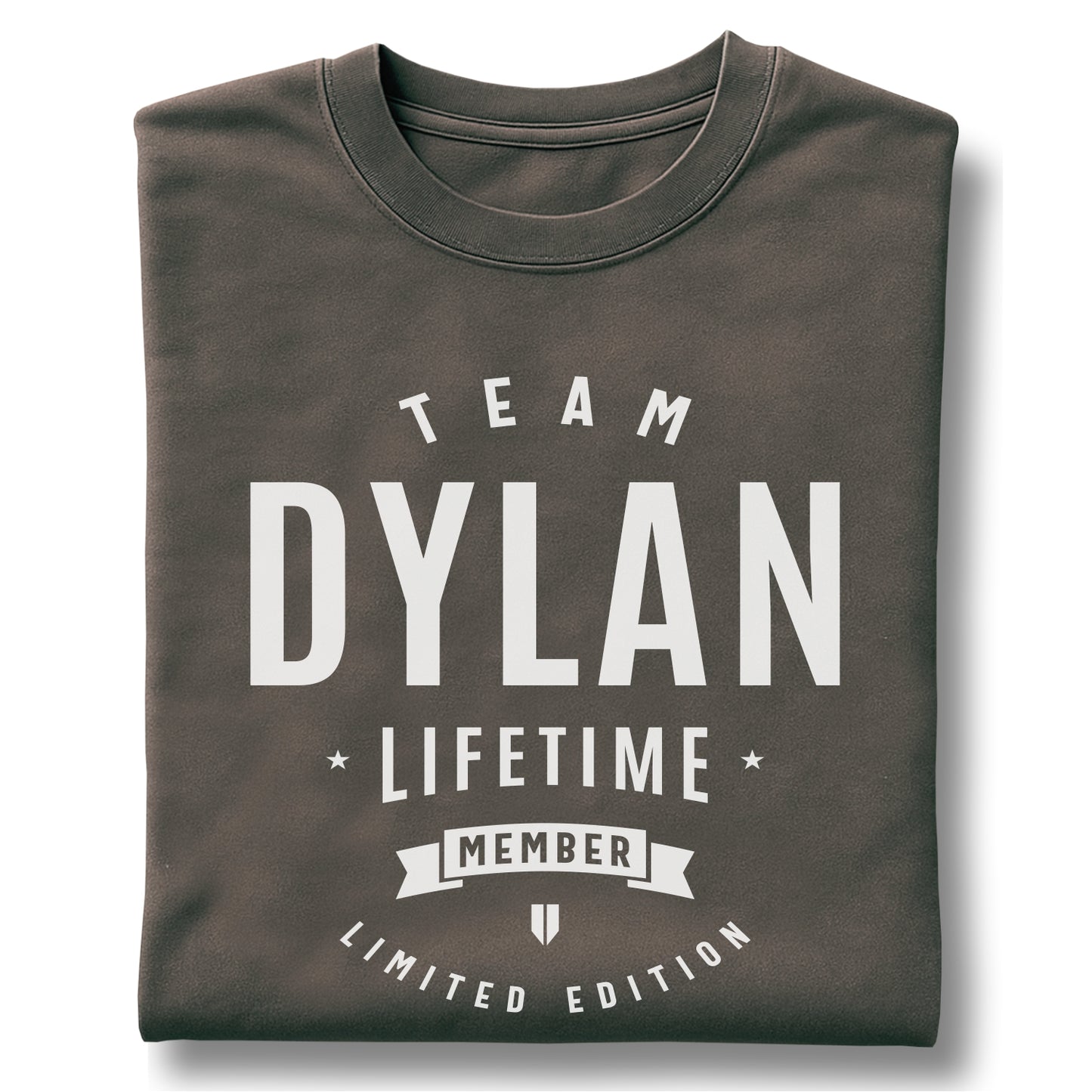 Team Dylan Lifetime Member Customizable Unisex garment-dyed heavyweight t-shirt