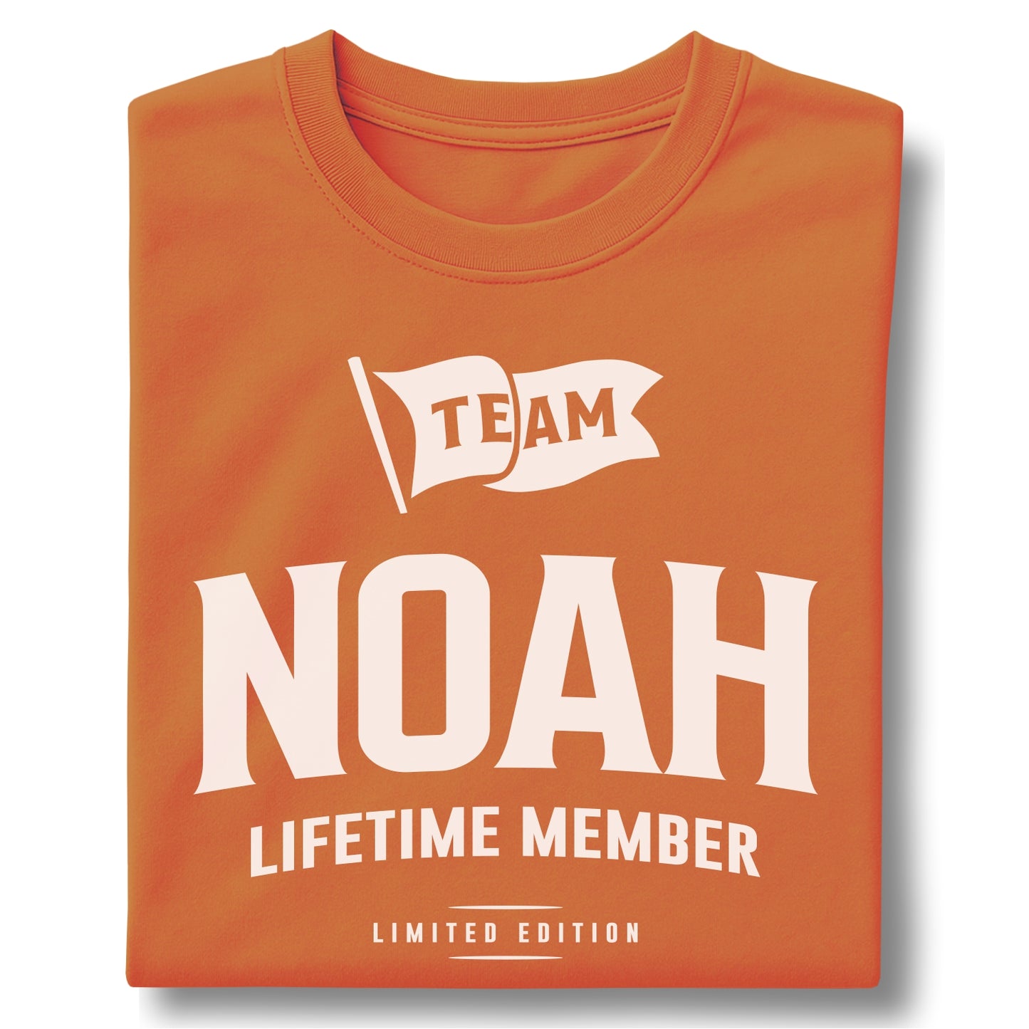Team Noah Lifetime Member Customizable Unisex garment-dyed heavyweight t-shirt
