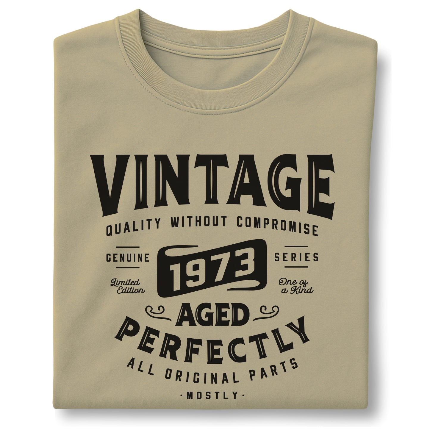 Vintage 1973 Aged Perfectly - Customizable Unisex garment-dyed heavyweight t-shirt