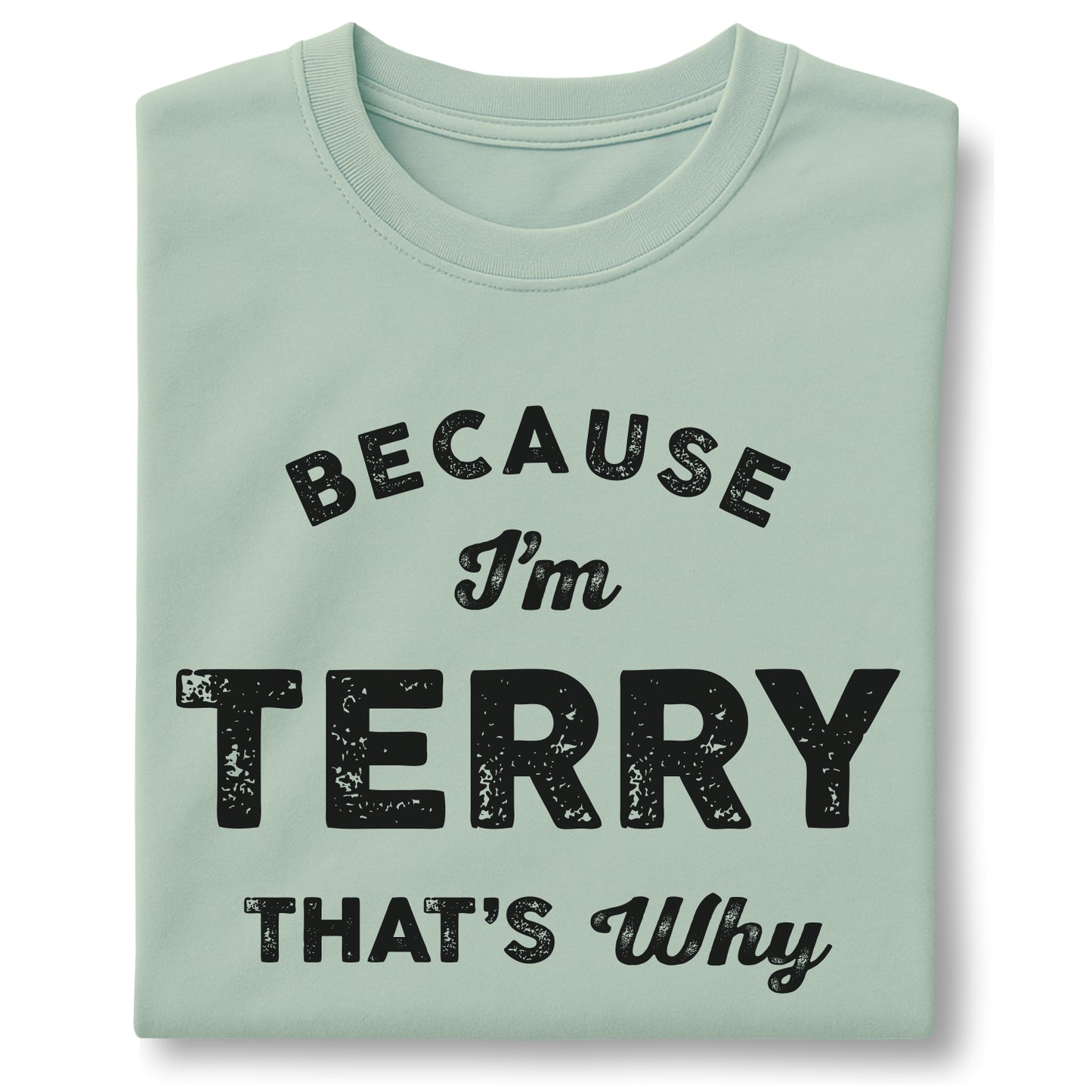 Because I'm Terry That's Why Customizable Unisex garment-dyed heavyweight t-shirt